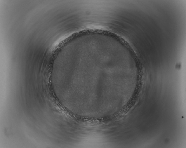 X0000114990919200911161510