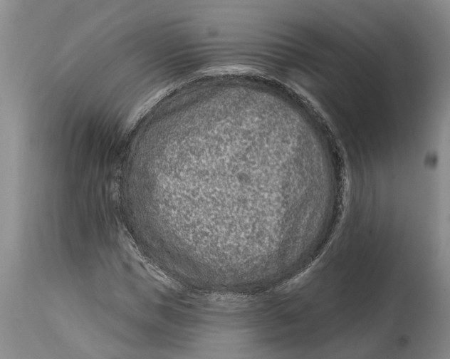 X0000114990921200911161510