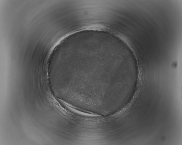 X0000114990923200911161510