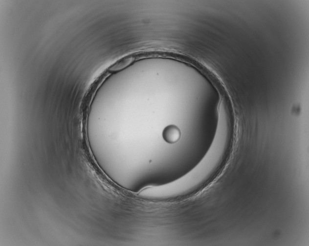 X0000114990925200911161510