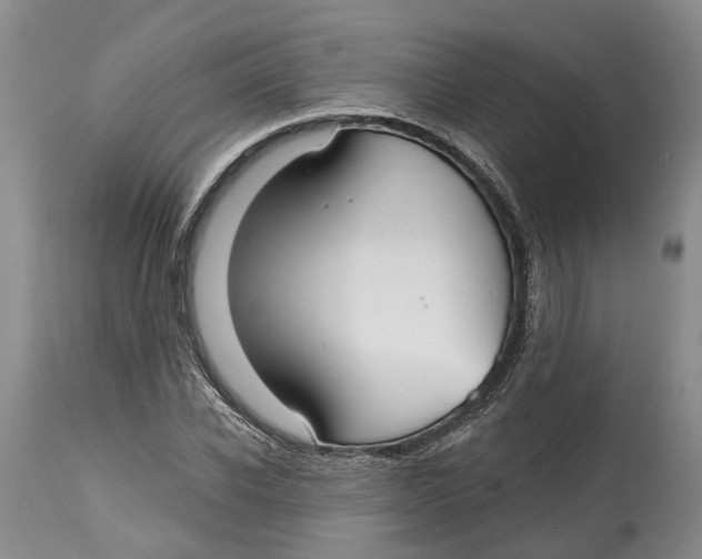 X0000114990926200911161510