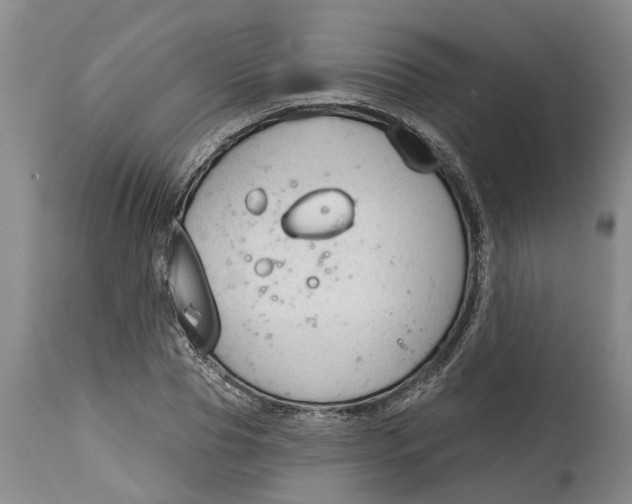 X0000114990929200911161510