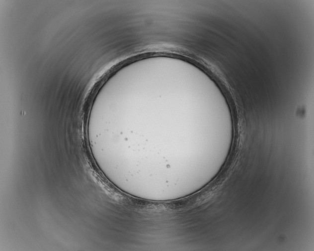 X0000114990931200911161510