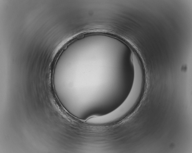 X0000114990933200911161510