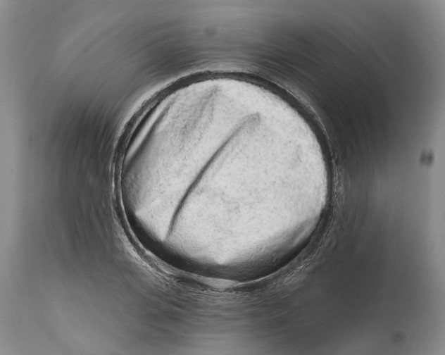 X0000114990935200911161510