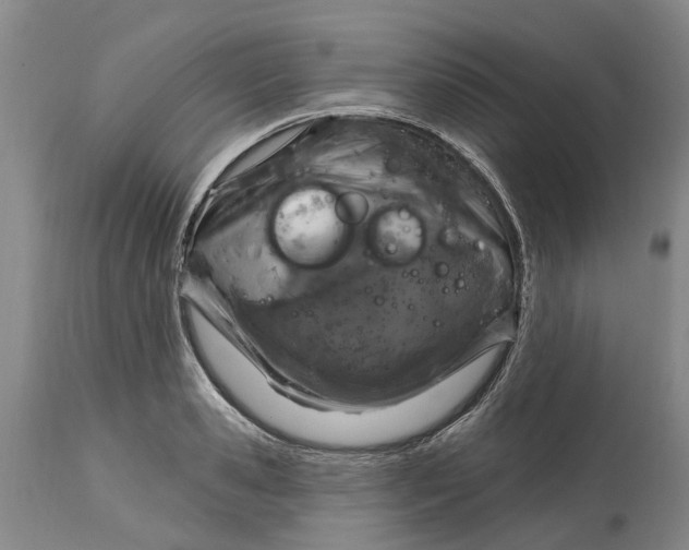 X0000114990941200911161510