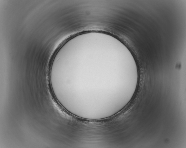 X0000114990942200911161510