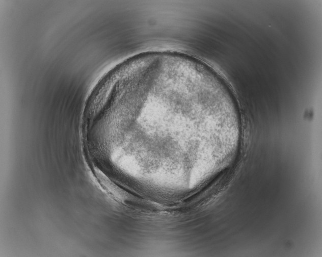 X0000114990943200911161510