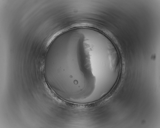 X0000114990945200911161510