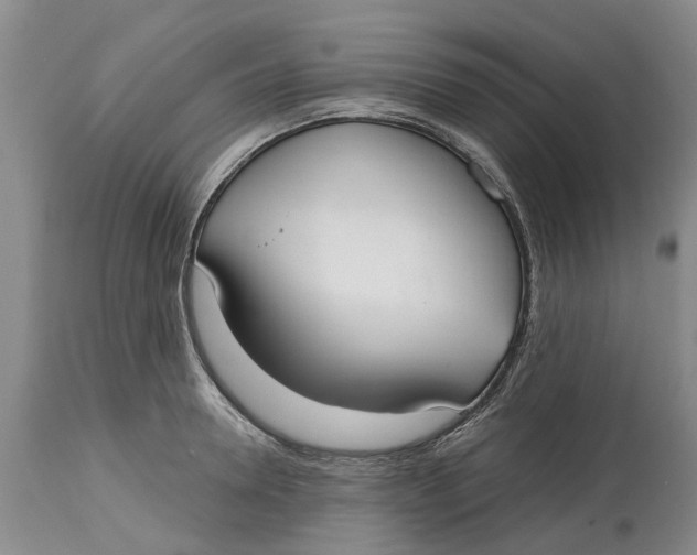 X0000114990946200911161510