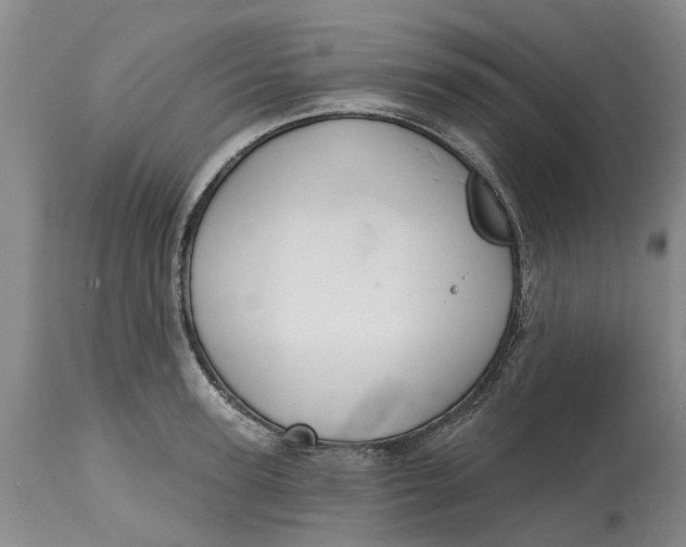 X0000114990947200911161510