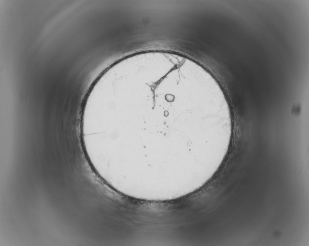 X0000114990950200911161510