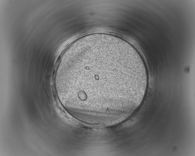 X0000114990954200911161510