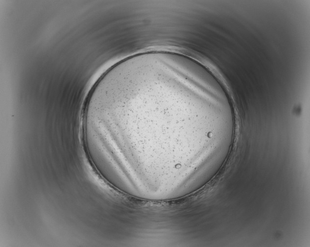 X0000114990955200911161510