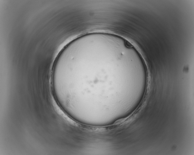 X0000114990957200911161510