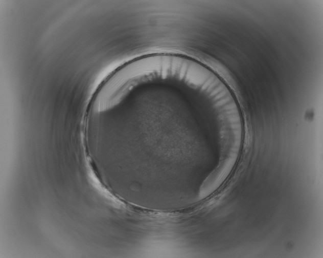 X0000114990958200911161510