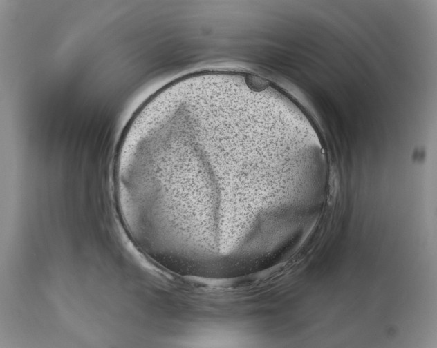 X0000114990959200911161511