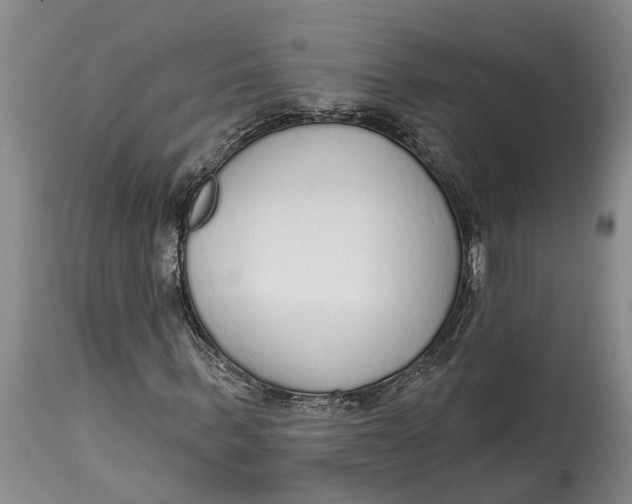 X0000114990963200911161510