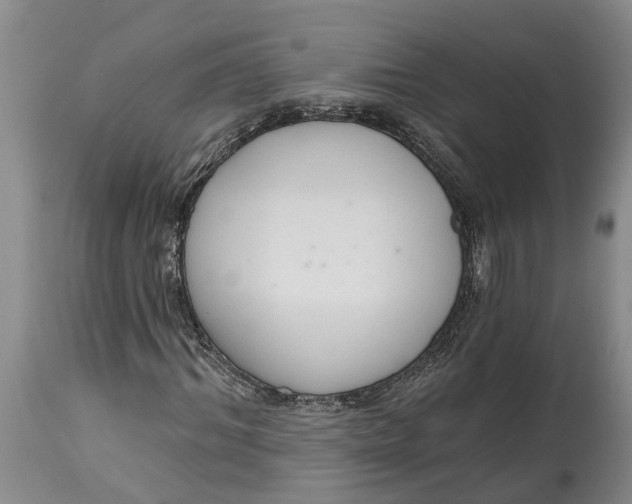 X0000114990964200911161510