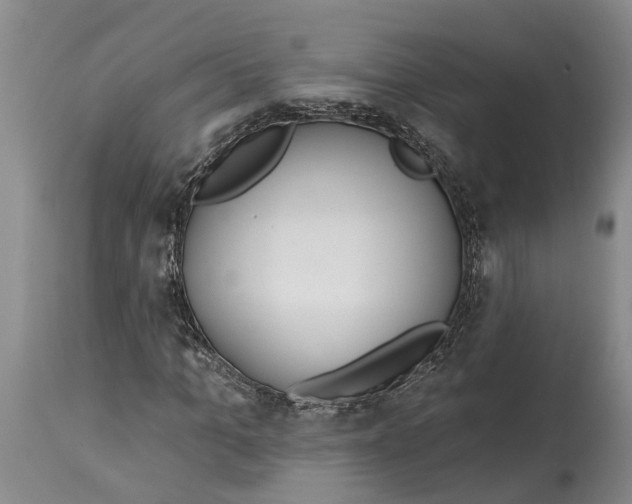 X0000114990965200911161510