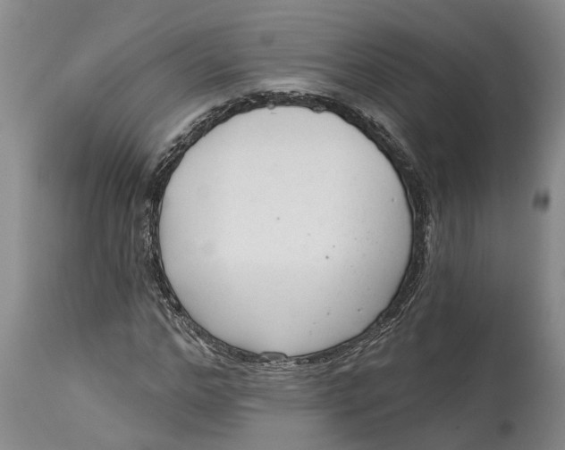 X0000114990968200911161510