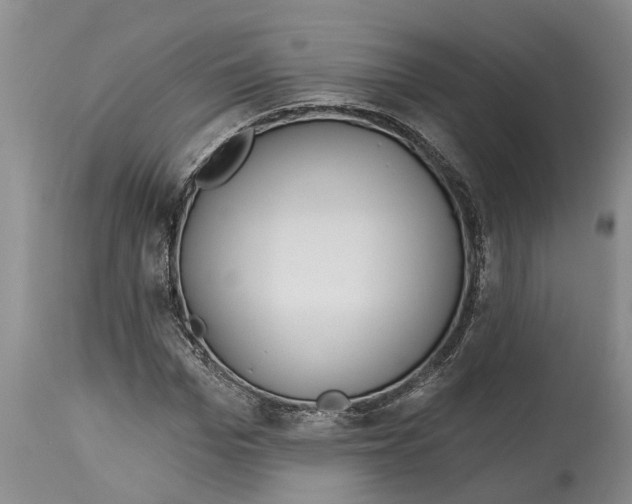 X0000114990969200911161510