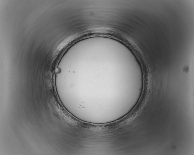 X0000114990970200911161510