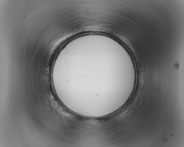 X0000114990971200911161510