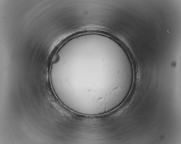 X0000114990973200911161510