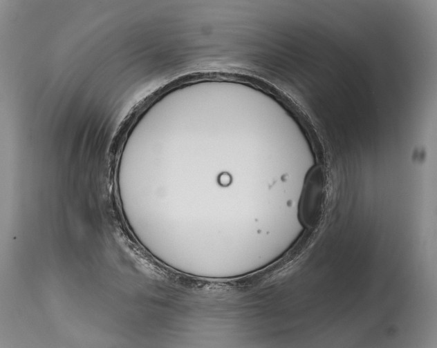 X0000114990974200911161510