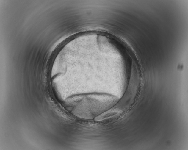 X0000114990975200911161510