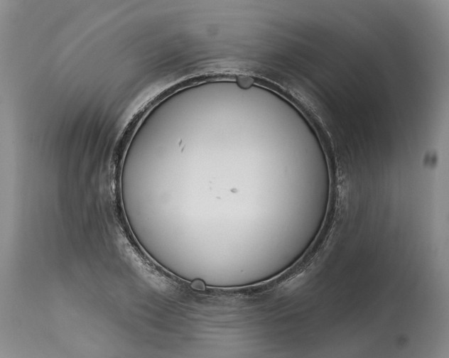 X0000114990981200911161510