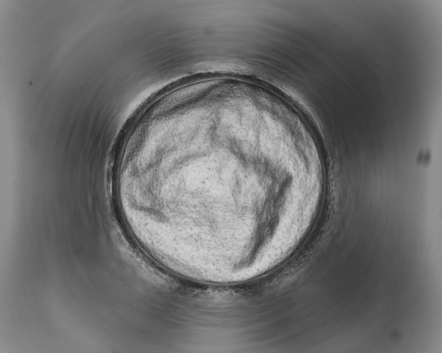 X0000114990983200911161510