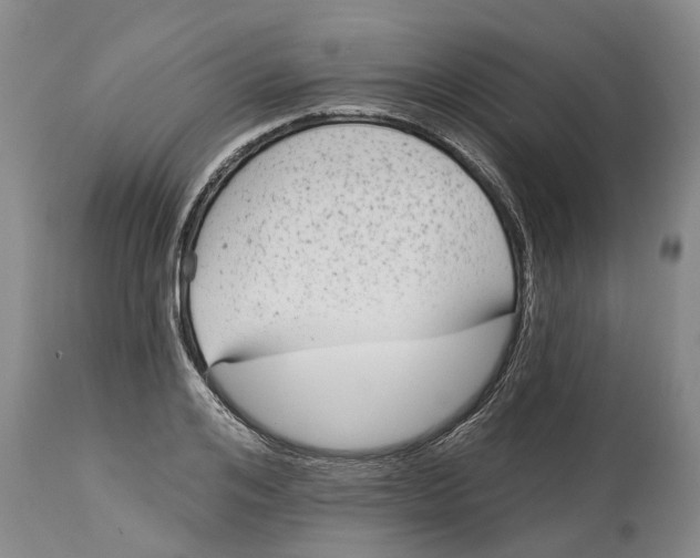 X0000114990984200911161510