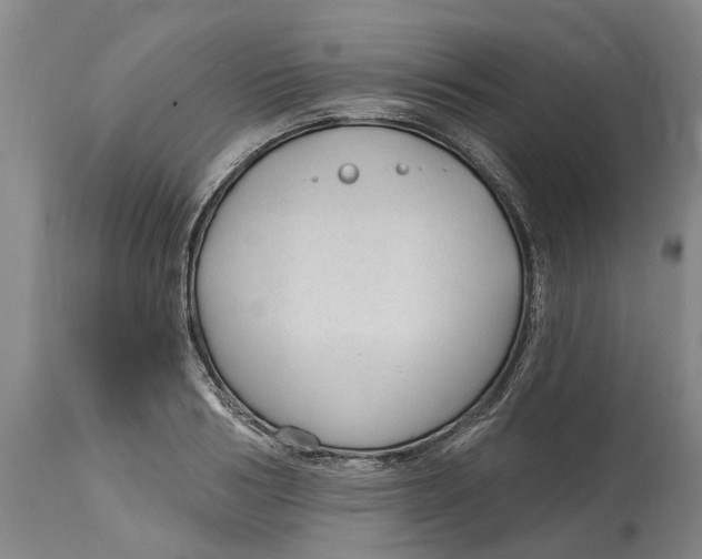 X0000114990986200911161510