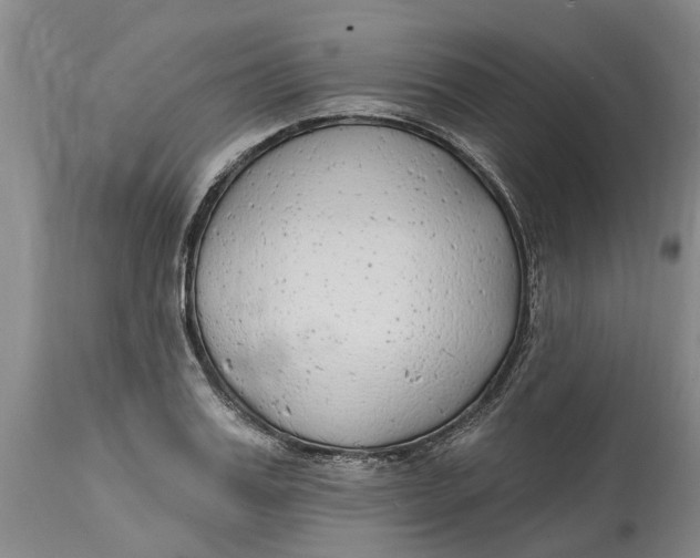 X0000114990987200911161510