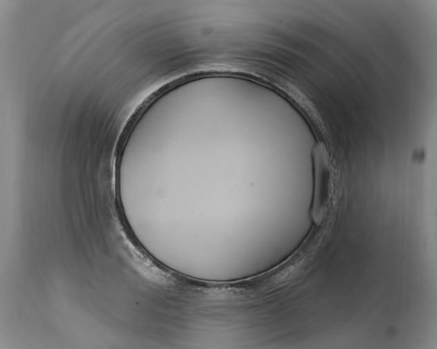 X0000114990988200911161509