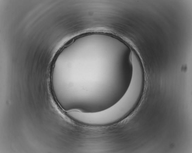 X0000114990989200911161509