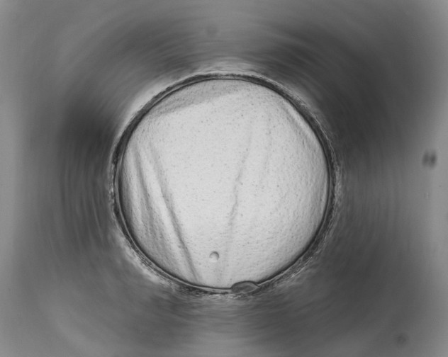 X0000114990990200911161509