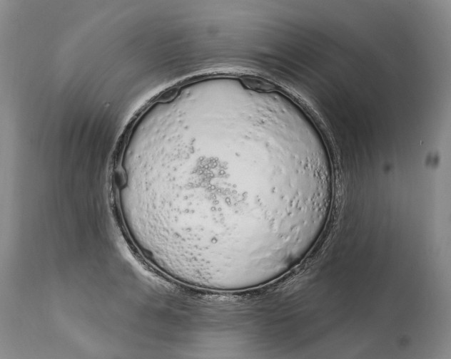 X0000114990991200911161509