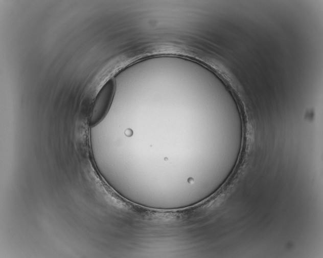 X0000114990993200911161509