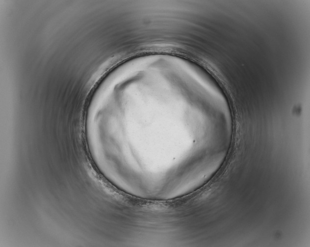 X0000114990994200911161509