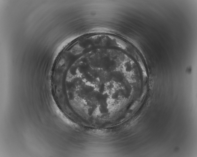 X0000114990995200911161509