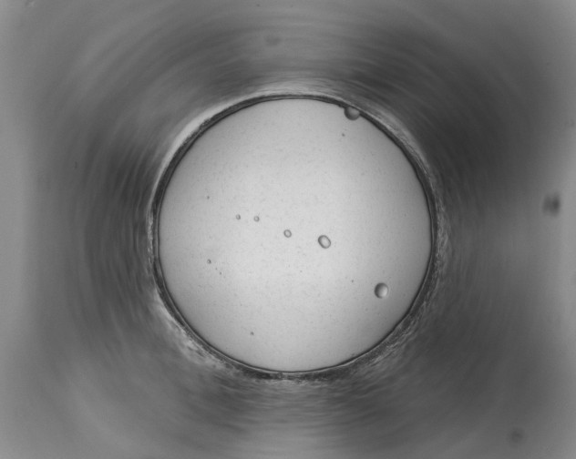 X0000114990996200911161509