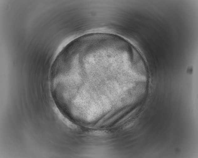 X0000114990998200911161509