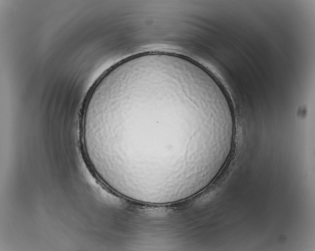 X0000114990999200911161509