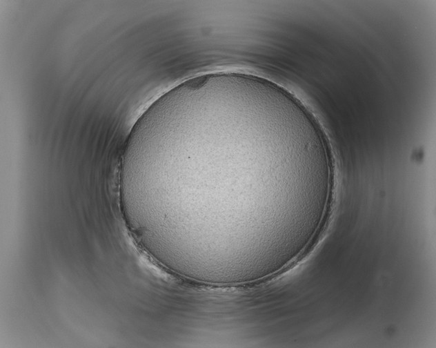 X0000114991001200911161509