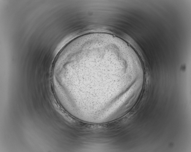 X0000114991002200911161509