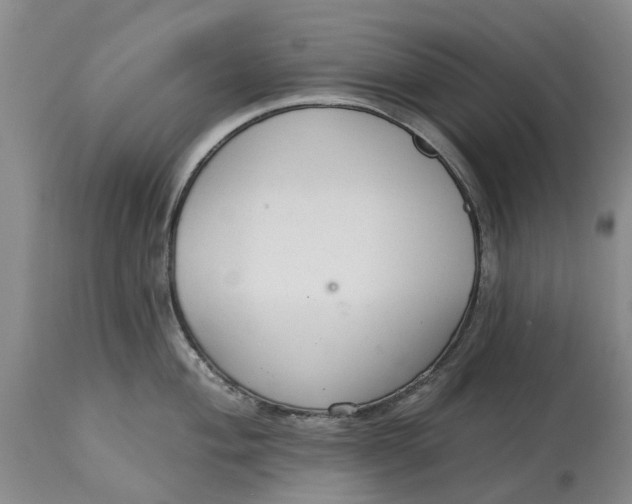 X0000114991004200911161509