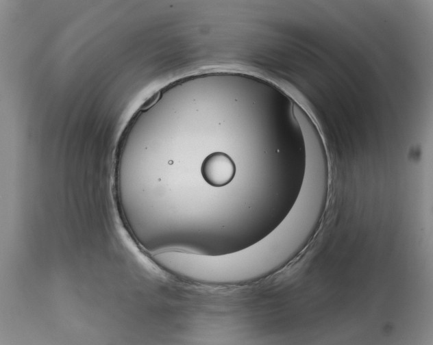 X0000114991005200911161509